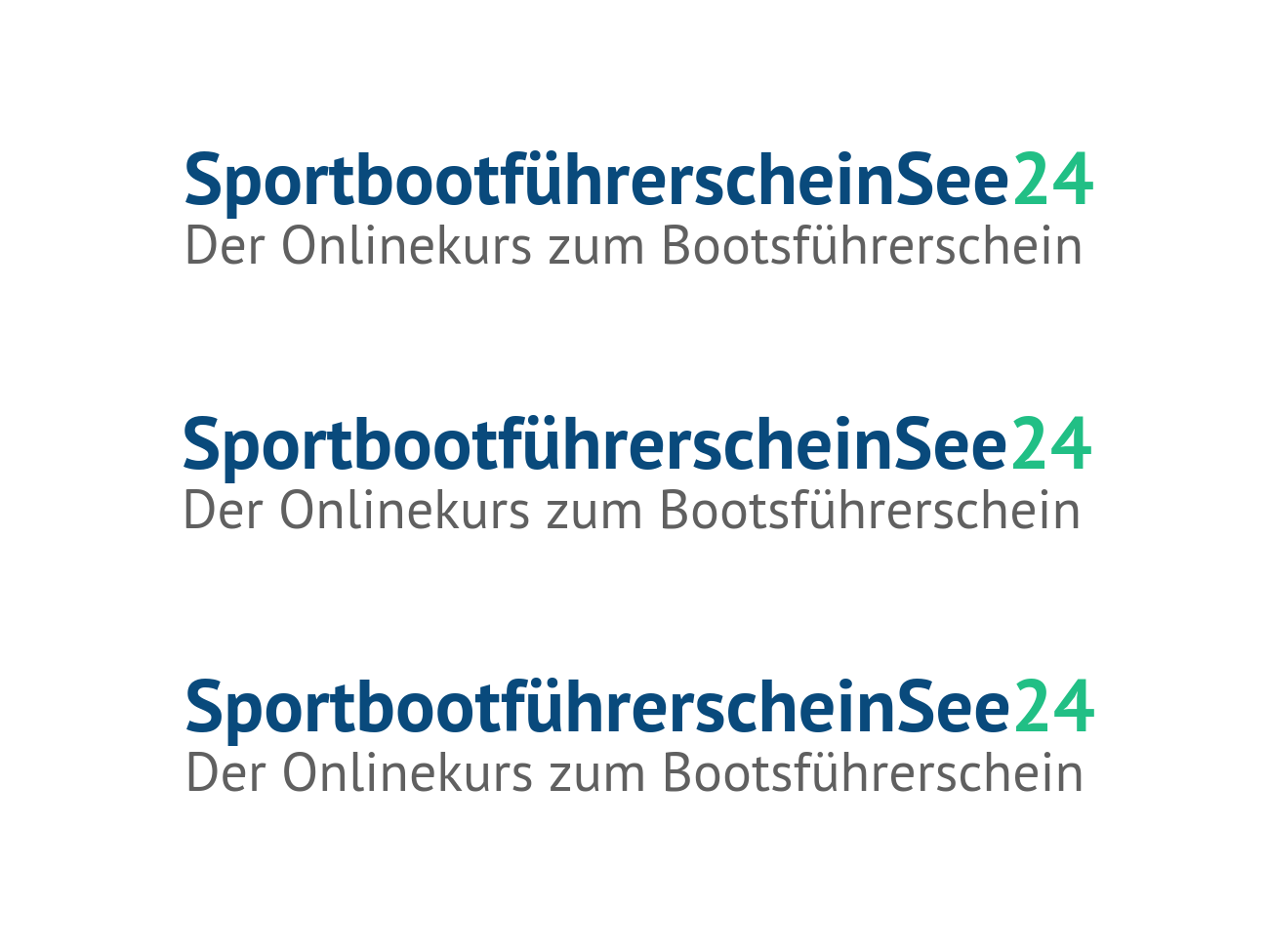 Sportbootführerschein See Onlinekurs